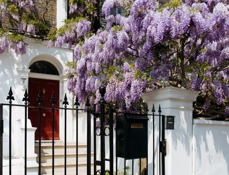 Property in Central London with red front door and wysteria