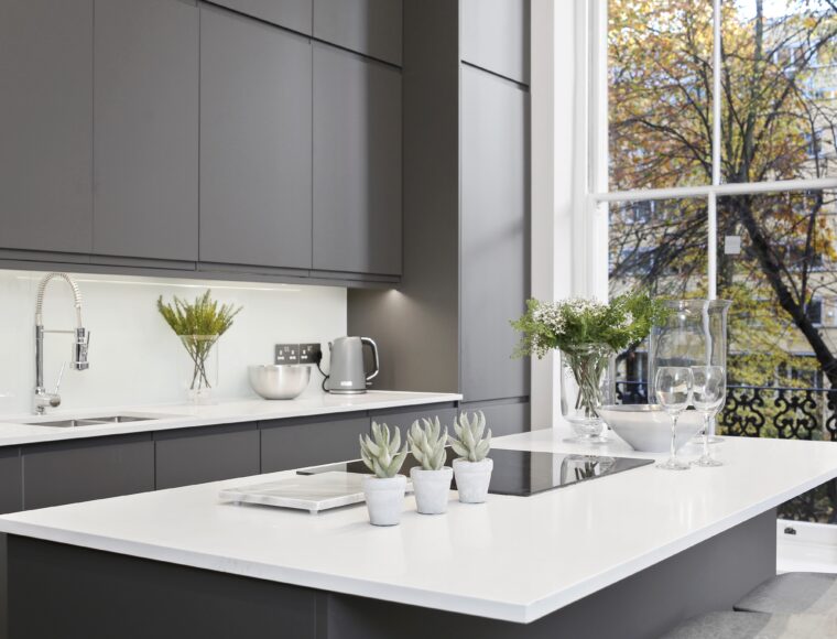 White and grey kitchen with kitchen amenities